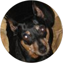 Heather Dusil Profile Picture