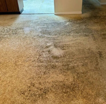 Tampa Terrazzo Restoration Lcs Stone Care Before | Lcs Stonecare Tampa Terrazzo Restoration Lcs Stone Care Before | Lcs Stonecare