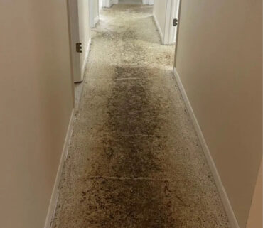 Terrazzo Floor Restoration Before After Tampa Fl Lcs Stone Care Before | Lcs Stonecare Terrazzo Floor Restoration Before After Tampa Fl Lcs Stone Care Before | Lcs Stonecare