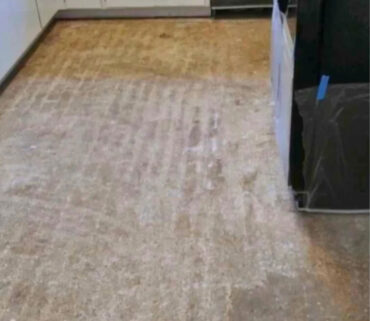 Terrazzo Floor Restoration St Petersburg Florida Lcs Stone Care Before | Lcs Stonecare Terrazzo Floor Restoration St Petersburg Florida Lcs Stone Care Before | Lcs Stonecare
